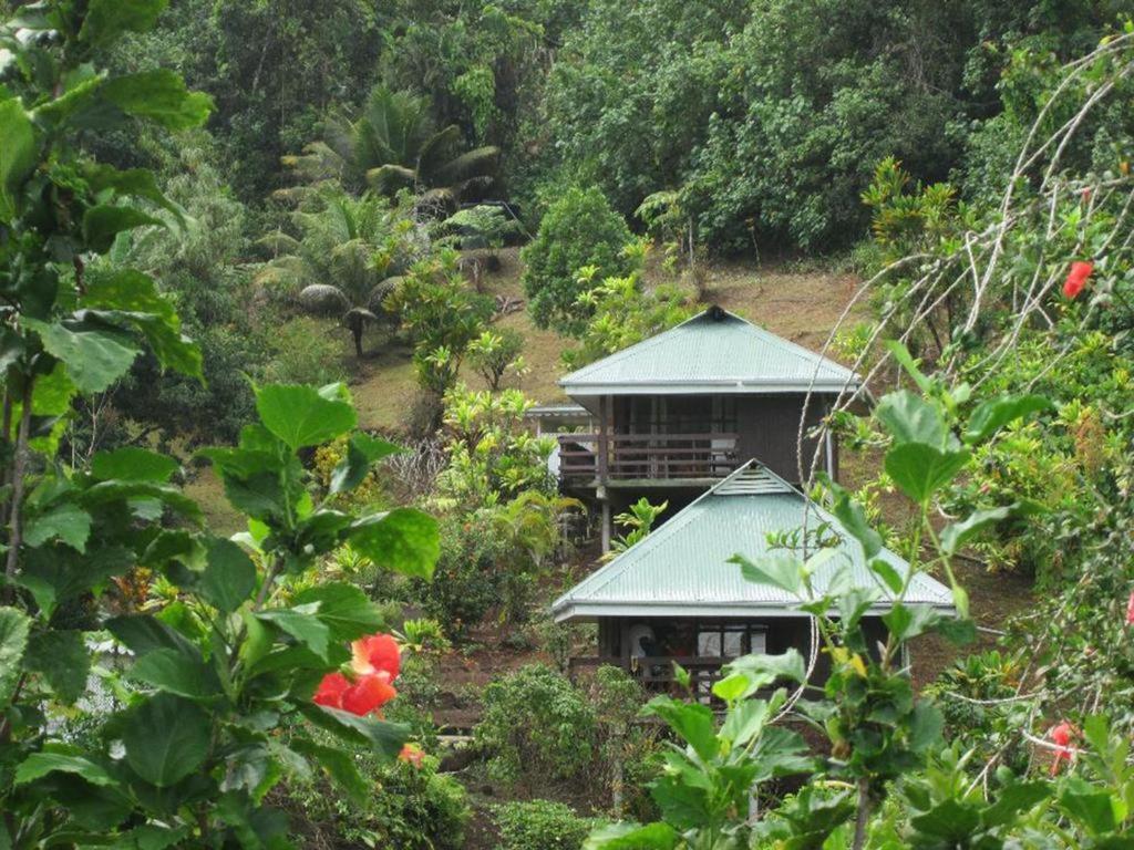 Pension Temaeva Villa Opoa Room photo